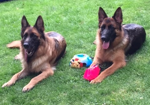 Daisy und Amy geschn.2