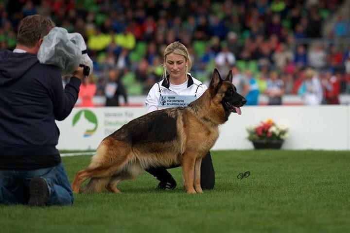 WhatsApp Bild 2025-03-21 um 11.19.27_91f5db7c