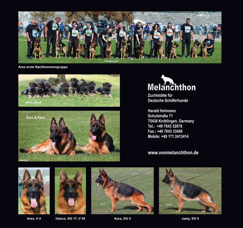 Anzeige Ares-Nachkommengruppe