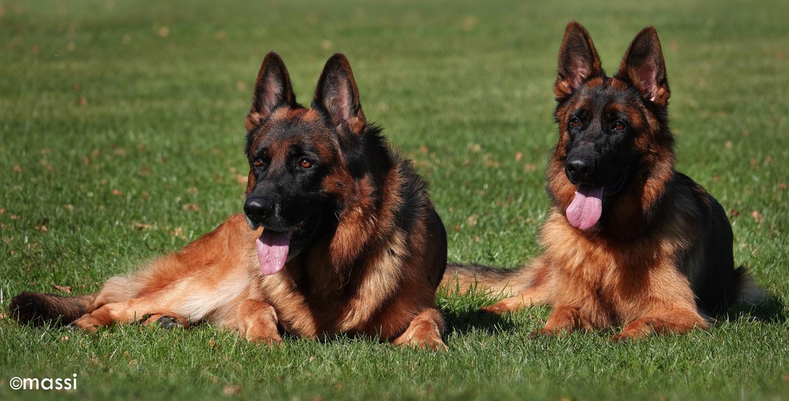 WhatsApp Bild 2024-04-05 um 15.19.36_157086f2_2