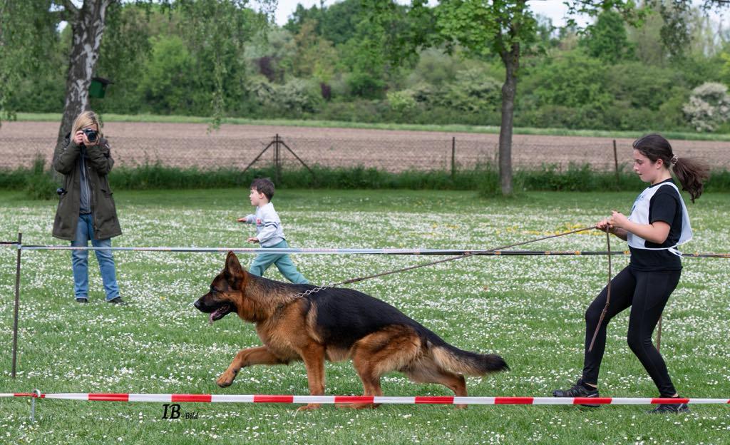 WhatsApp Bild 2025-05-05 um 22.41.35_dbdb526f